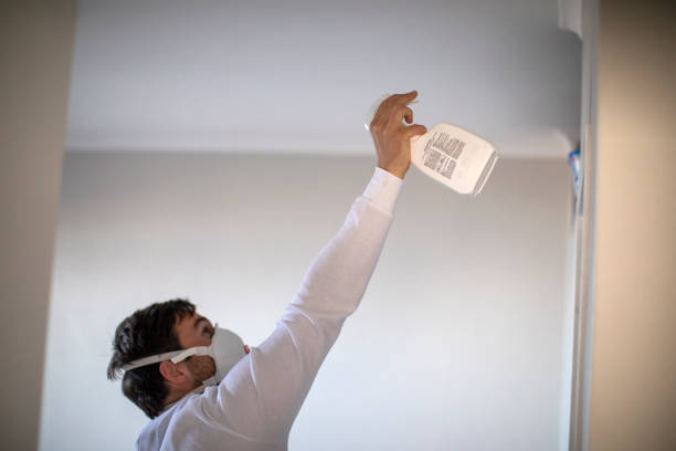Best Mold Damage Repair  in Mogul, NV